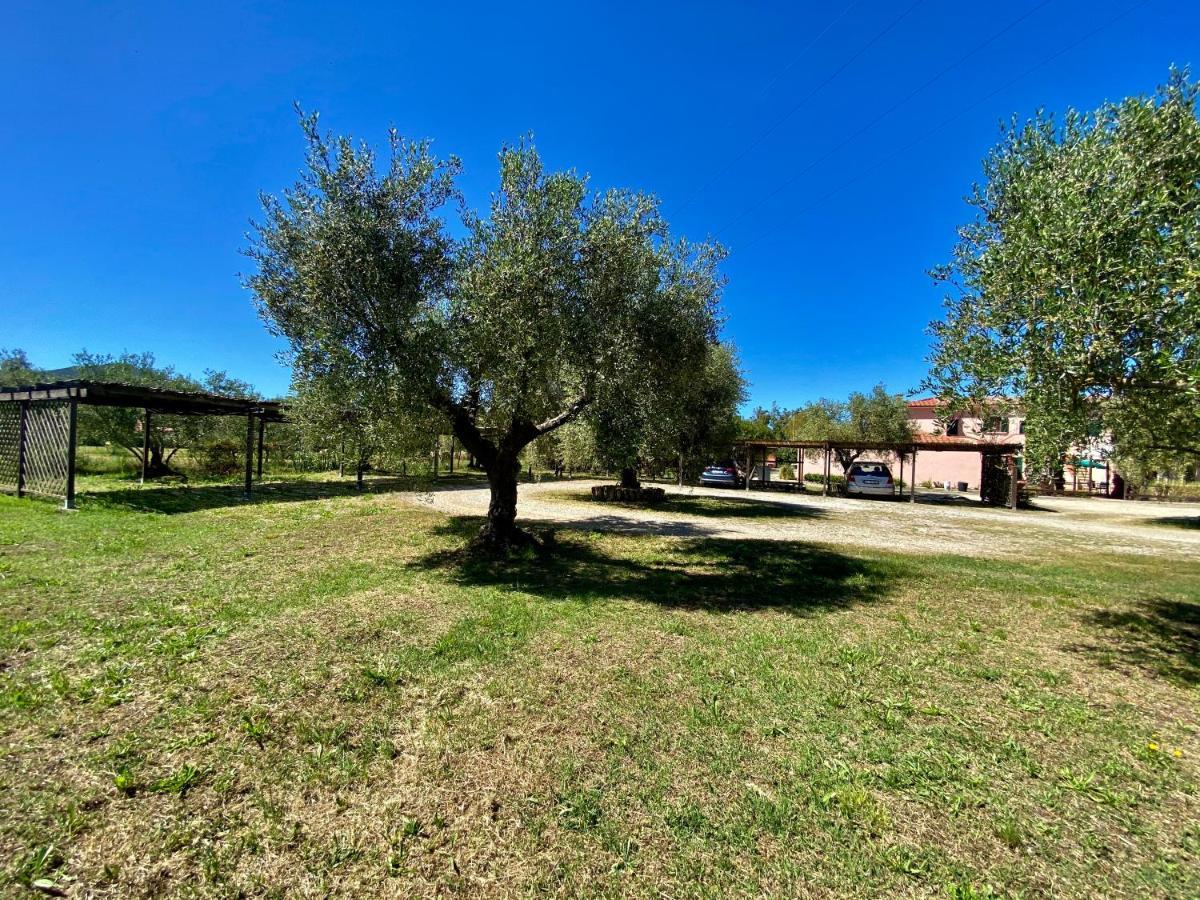 Residence Terme Isola D'Elba Srl Portoferraio Buitenkant foto