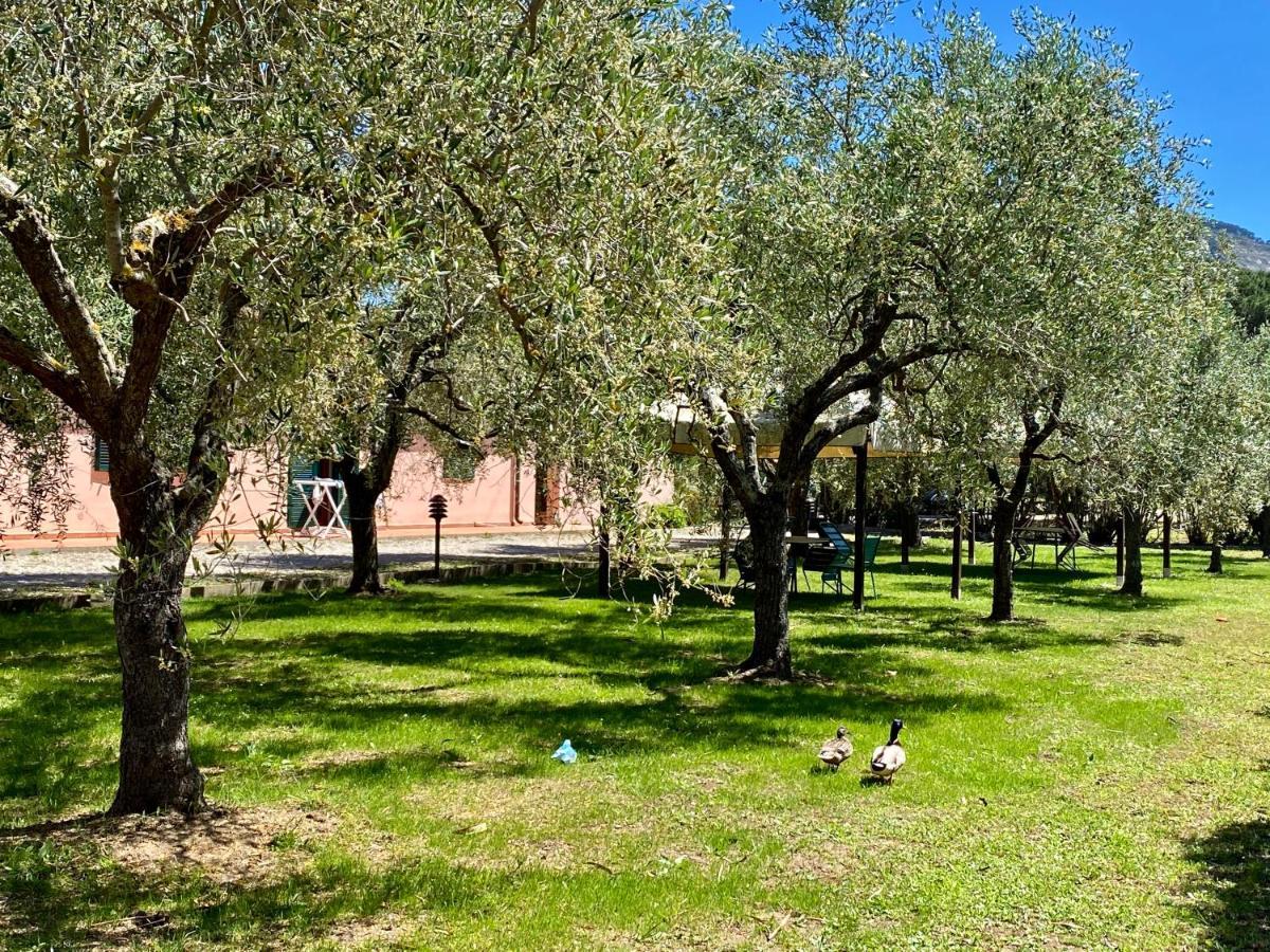 Residence Terme Isola D'Elba Srl Portoferraio Buitenkant foto