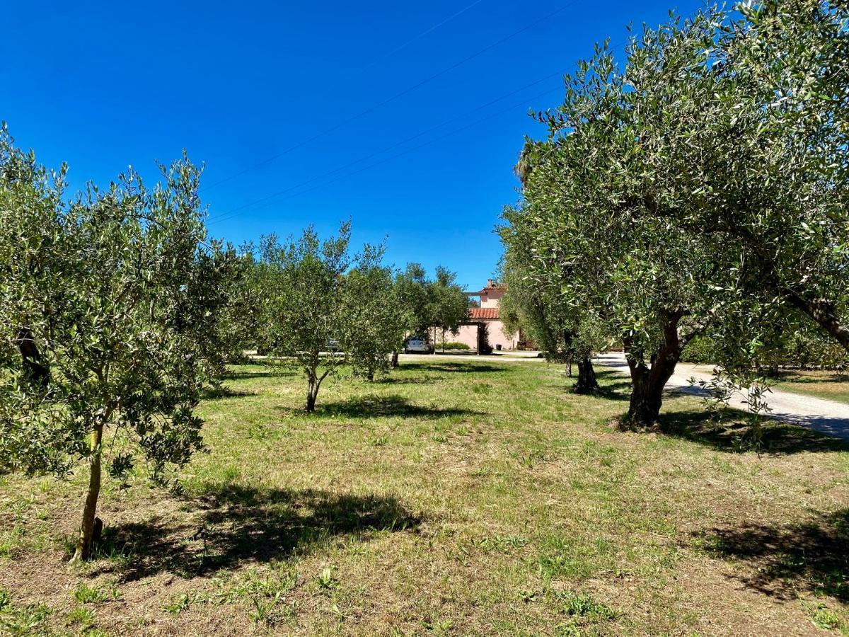 Residence Terme Isola D'Elba Srl Portoferraio Buitenkant foto