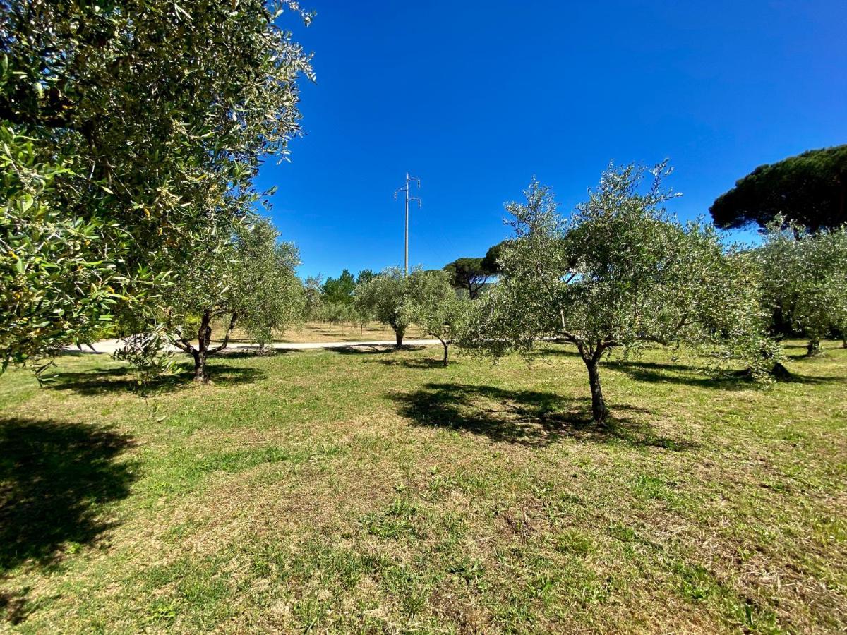 Residence Terme Isola D'Elba Srl Portoferraio Buitenkant foto